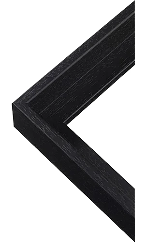 Eco canvas float Black