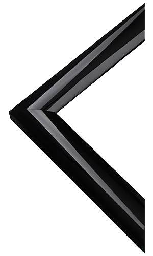 Gloss Black