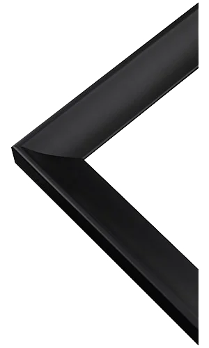 Swoop Black